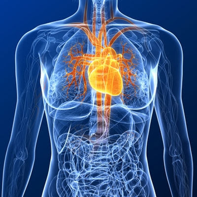Cardiaque Clinique Afrotunissanté