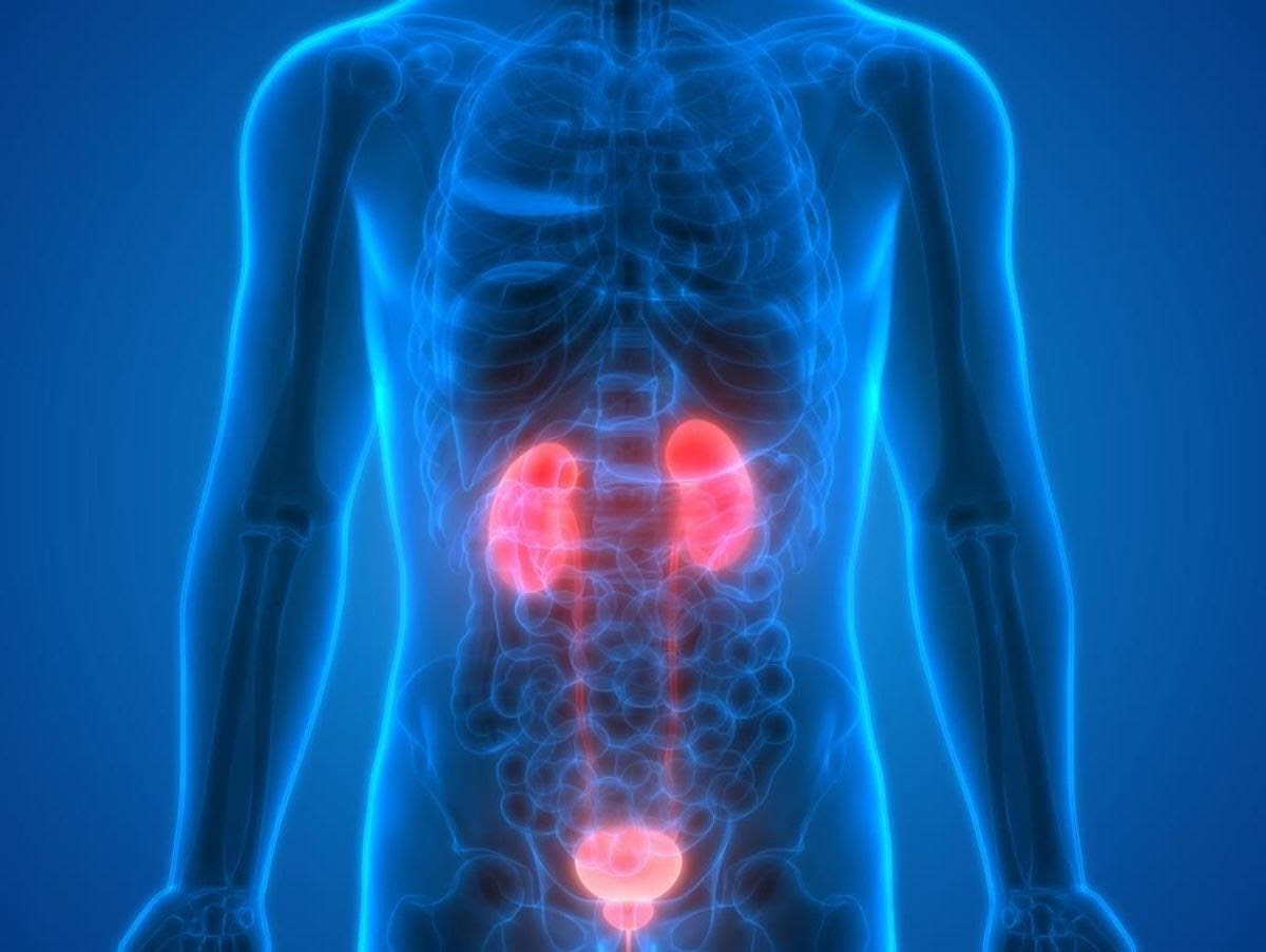 Urologie