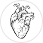 Cardiologie