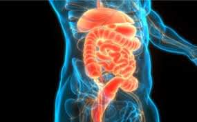 Gastroentérologie
